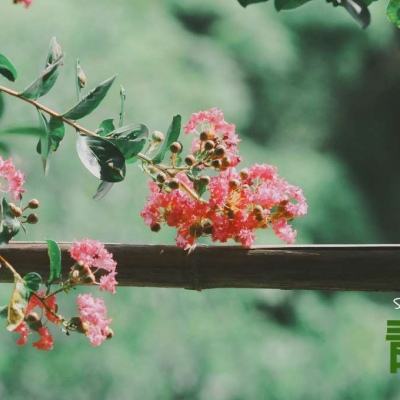 乐鱼竞彩官网手机app下载