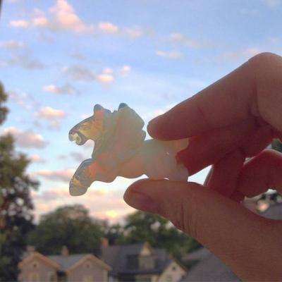 金年会手机app下载