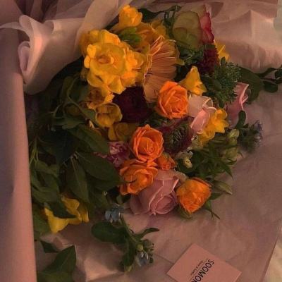 BOB·体育综合APP截图