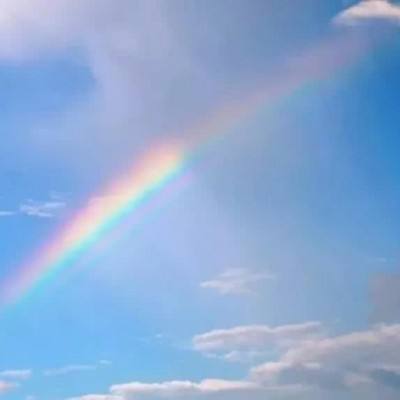 加拿大28手机app下载