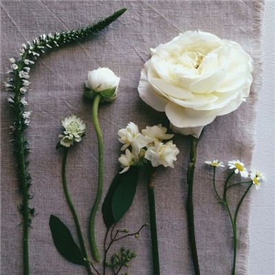 爱游戏·体育APP