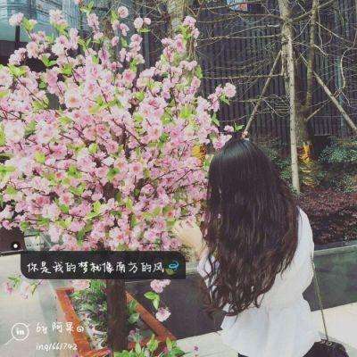 小罗米乐M6官网登录正版下载