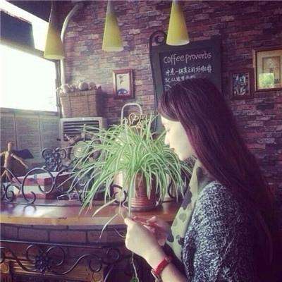 BOB体育综合官方平台官网App